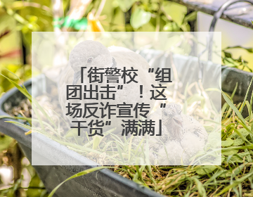 街警校“组团出击”！这场反诈宣传“干货”满满